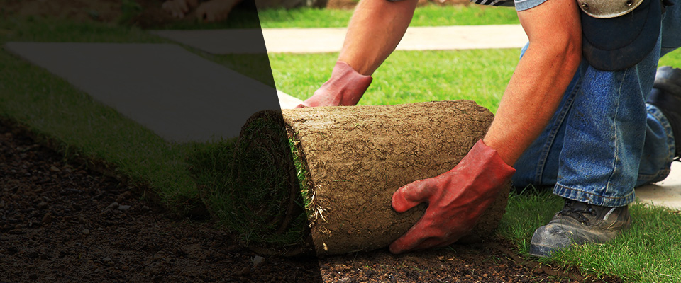 Gaithersburg Landscapers